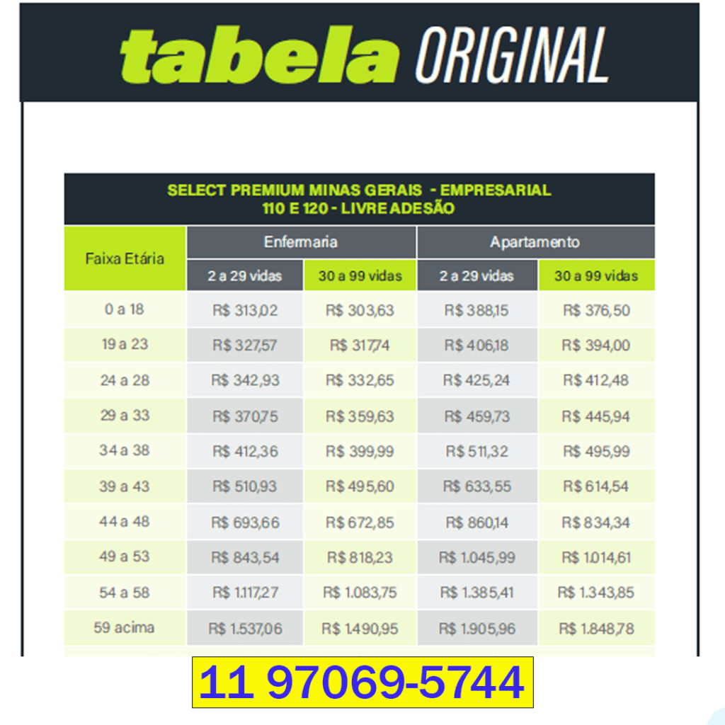 Tabela contendo valores do plano de saúde select empresarial em Minas Gerais